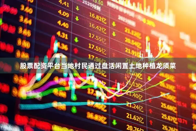 股票配资平台当地村民通过盘活闲置土地种植龙须菜