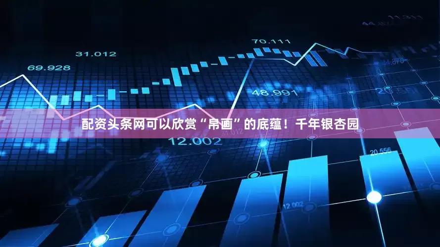 配资头条网可以欣赏“帛画”的底蕴！千年银杏园